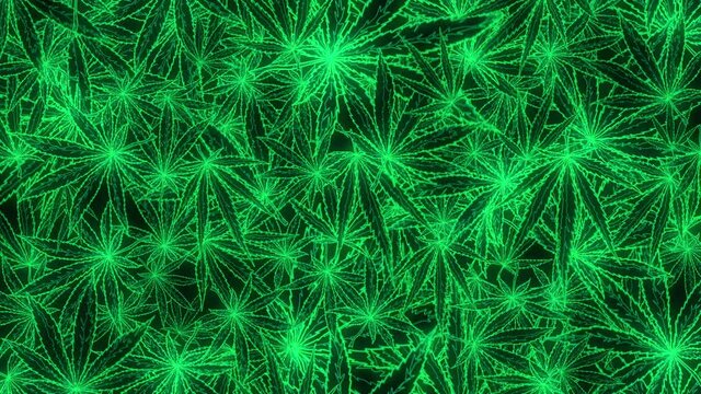 Cannabis Night Party - Lovely the background is drawn from vector and rasterized cannabis leaf. Stylized as a night-party style. Chaotic is spinning and moving - they create a surreal mesmerizing anim