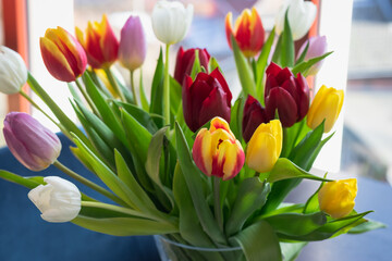 Obraz premium Fresh tulips inside a transparent vase