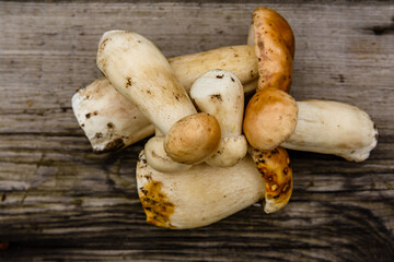 Freshly picked porcini mushrooms on a rustic wooden table. Top view