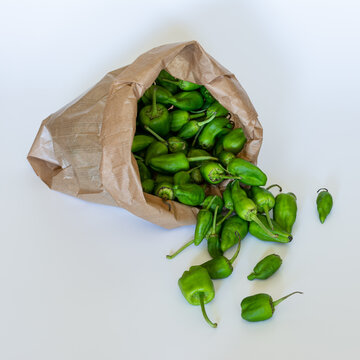 Saco de Pimientos de Gernika