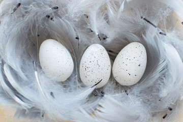 Białe nakrapiane wielkanocne jaja otoczone piórami, wielkanoc - obrazy, fototapety, plakaty