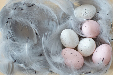 Pastelowe nakrapiane jaja otoczone piórami święta wielkanocne ozdoba wystrój - obrazy, fototapety, plakaty
