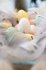 Pastelowe nakrapiane jaja otoczone piórami święta wielkanocne ozdoba wystrój © monikawyrwich