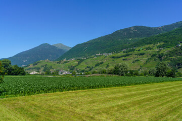 Landscape along the Sentiero della Valtellina, Italy, from the cycleway