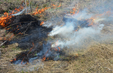 Spring dry grass fire danger. Burning grass and thatch transforms quickly into a fire hazard in spring.