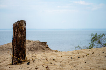 Charred broken wood on sea background 