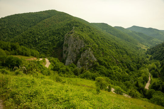 Karadeniz b&ouml;lgesinde Bartin ilinde yaylalar, otlar, hayvanlar.