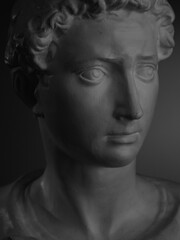 portrait of a David Michelangelo,  a plaster bust