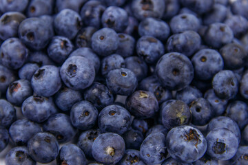 Background of the fresh blueberries