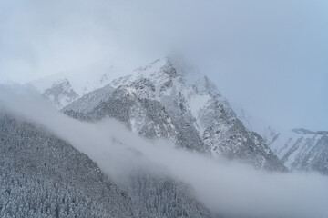 The top of the mountain comes out through the cloud. Winter forest on the mountainside. Winter mountain landscape. Low cloud cover in the mountains.