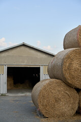 Hay bales in Italian farm. Harvesting of straw.  
