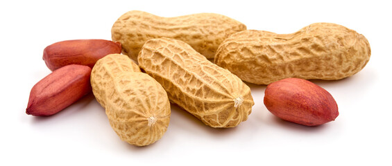 Useful peanut, isolated on white background. High resolution image