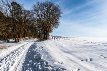 Fototapeta premium Winter 21