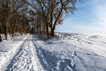 Fototapeta premium Winter 21