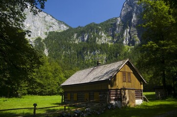 Fototapeta na wymiar Cottage in mountains