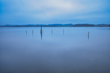 reflection of trees in water lake