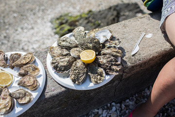 Plate of wild oysters with lemon and plastic knife, just beside a oyster farm in Cancale, Brittany, France