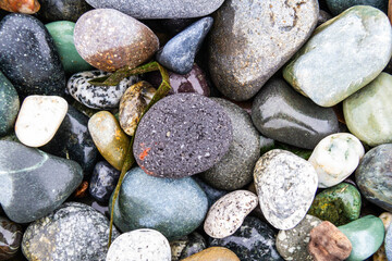 Colorful smooth rocks on the beach covered in water.