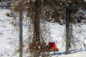 Metal frame of a gazebo in a park in winter