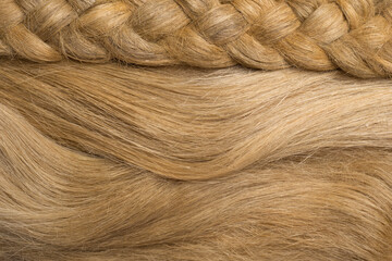 Fototapeta premium Dry fibers of common flax for the production of flax fabrics. Abstract background.