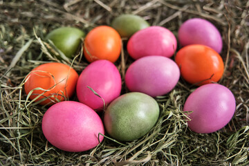 Colored chicken eggs painted with natural food dyes on dry grass.