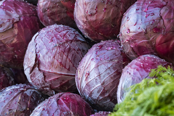 Fototapeta na wymiar Red cabbage on the farmers market