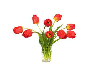 Beautiful bouquet of red tulip flowers