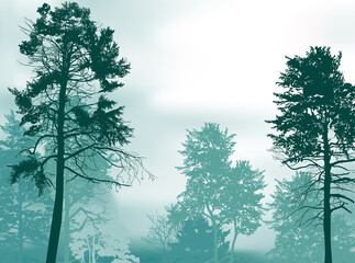 evergreen forest on cyan background