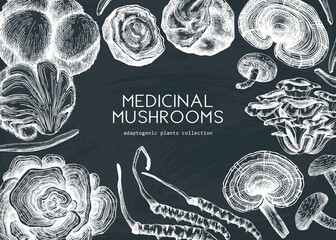 Medicinal mushroom illustrations background on a chalkboard. Hand-sketched adaptogenic plants frame design. Perfect for recipe, menu, label, packaging. 