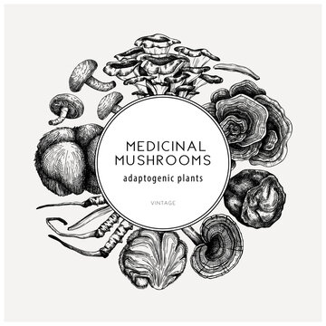 Medicinal mushroom illustrations wreath. Hand-sketched adaptogenic plants frame design. Perfect for recipe, menu, label, packaging. 