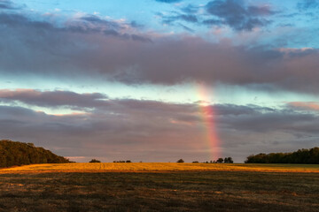 Summer landscape at sunset over a field, with a rainbow in the sky