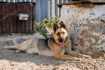 close-up of the girl's hands with a mug in warm shades