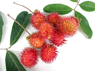 Rambutan isolated on the white background 