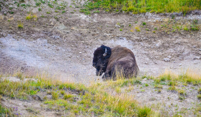 Yellowstone, United States	
