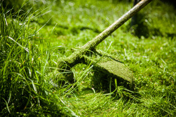 mowing a green lawn with a lawn mower