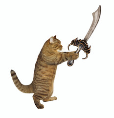 A beige cat fights with a pirate cutlass. White background. Isolated.
