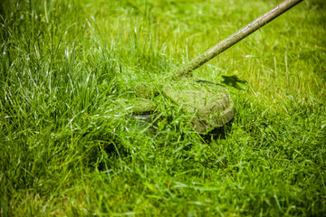 Obraz premium mowing a green lawn with a lawn mower