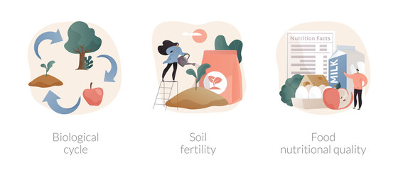 Harvest and soil productivity abstract concept vector illustration set. Biological cycle, soil fertility, food nutritional quality, agricultural cycle, available nutrients value abstract metaphor.