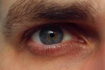 Obraz premium Close up of male eye light brown green color