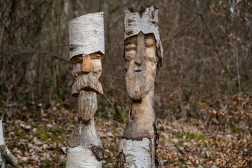 Funny carved faces in sawn-off birch trees - obrazy, fototapety, plakaty