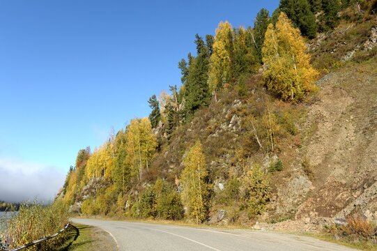 Highway along the mountain river Bii. Altai Republic