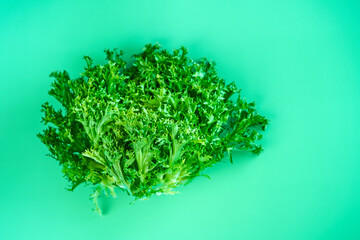 Bush of fresh green lettuce salad on green background