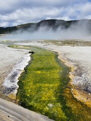 Geothermal Features in Yellowstone