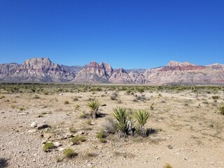 Red Rock Canyon Desert Landscape