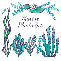 Sea plants and aquarium seaweed vector set. Nature seaweed black silhouette illustration