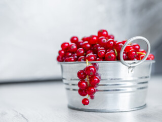 A metal basin filled with red currants
