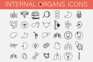 A line set of more than a hundred icons of internal organs and parts of man. Icons related to medicine, training, individual human organs. Human Anatomy. Heart, brain, liver, kidneys, spine and other.
