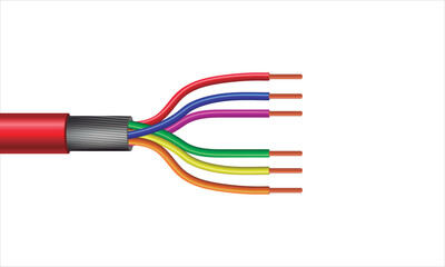 Multicolor Twisted Pair Copper Cable with shield structure. 3d Rendering Vector realistic illustration isolated on white background.