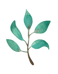 Watercolor leaf (branch with leaves) for decorative use of patterns, wedding and spring themes.