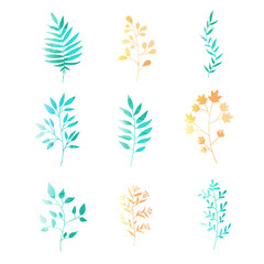 leaves flowers bouquet watercolor patterns set